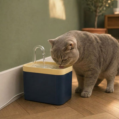Fontaine chat silencieuse — Asahi