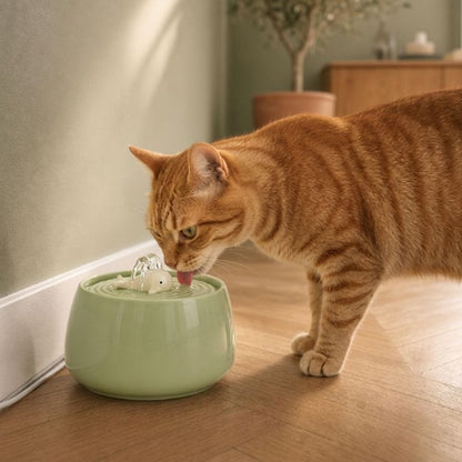 Fontaine à eau pour chat ultra silencieuse céramique — Shimi Chez Neko