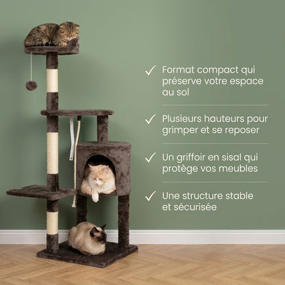 Arbre à chat beige et marron — Kenu