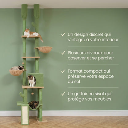 Arbre à chat cactus plafond — Sabaku