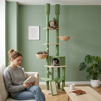 Arbre à chat cactus plafond — Sabaku