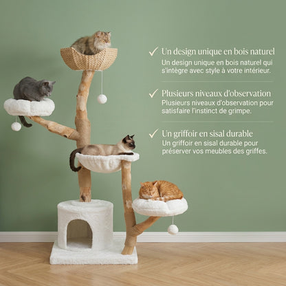 Arbre à chat maine coon bois flotté — Nagare