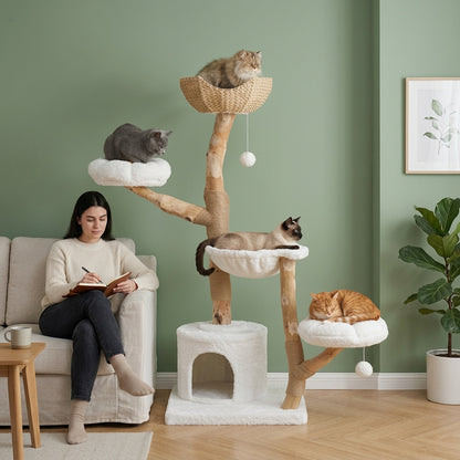 Arbre à chat maine coon bois flotté — Nagare