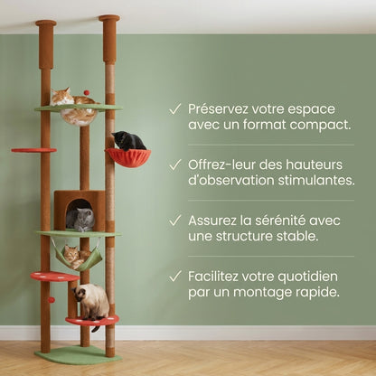 Arbre à chat plancher au plafond — Ishi