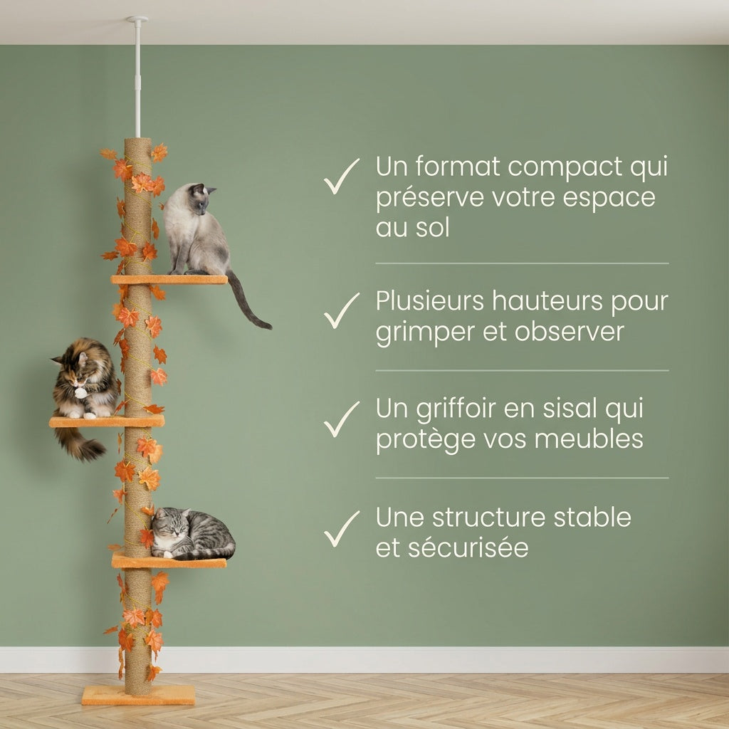 Arbre à chat sol plafond — Noto