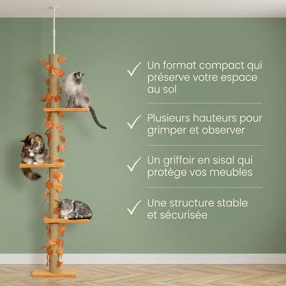 Arbre à chat sol plafond — Noto