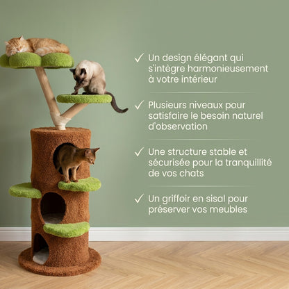 Arbre à chat xxl bois flotté — Oka