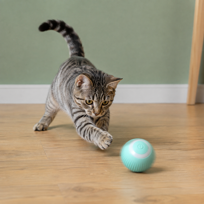 Balle intelligente pour chat — Mari