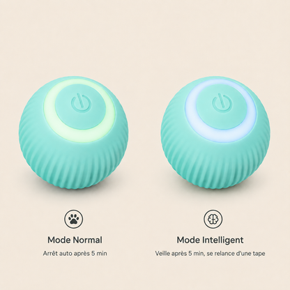 Balle intelligente pour chat — Mari