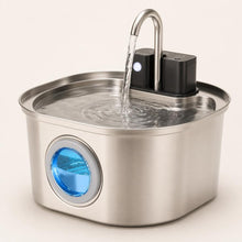 Fontaine a eau chat detecteur inox — Mizuho Chez Neko