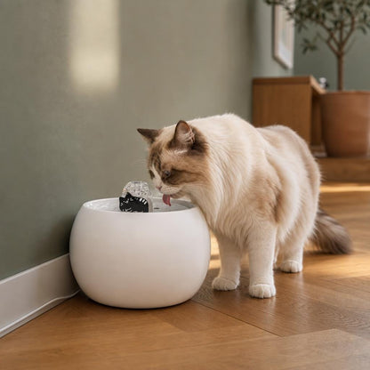 Fontaine à eau céramique noire chat — Mio Chez Neko
