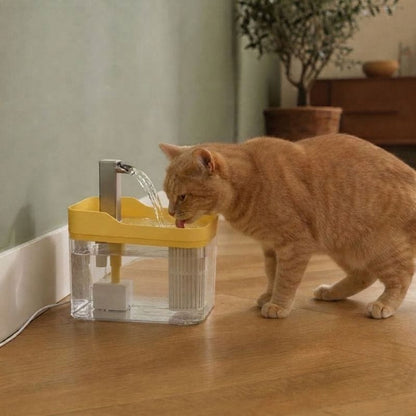 Fontaine à eau chat pas cher — Izumi Chez Neko