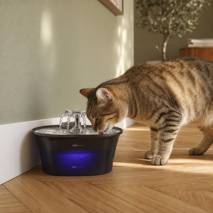 Fontaine pour chat — Sawa Chez Neko