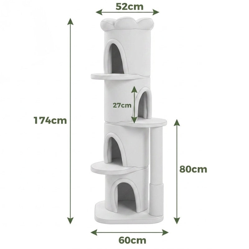 Grand arbre à chat fleur — Kusa