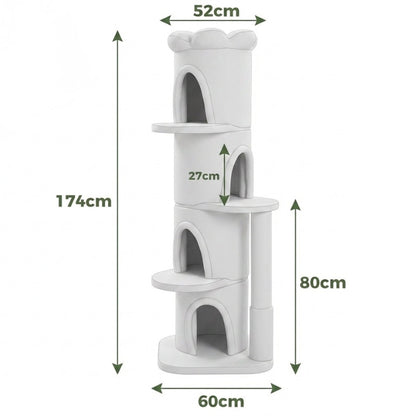Grand arbre à chat fleur — Kusa