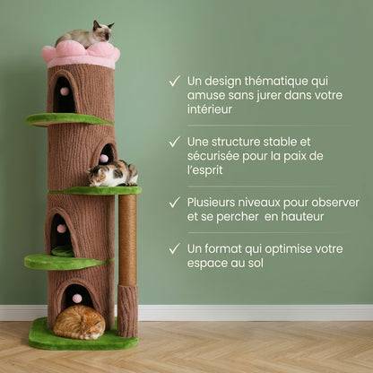 Grand arbre à chat fleur — Kusa