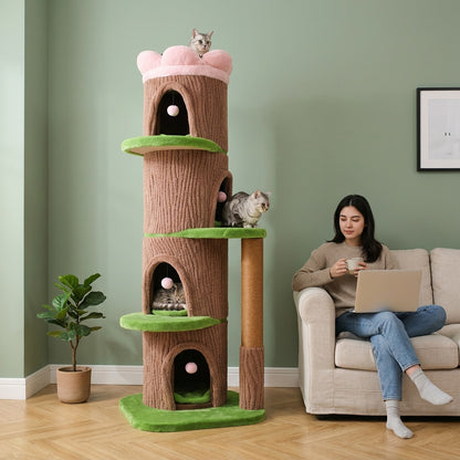 Grand arbre à chat fleur — Kusa