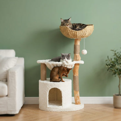 Arbre a chat 2 griffoirs et bois flotté