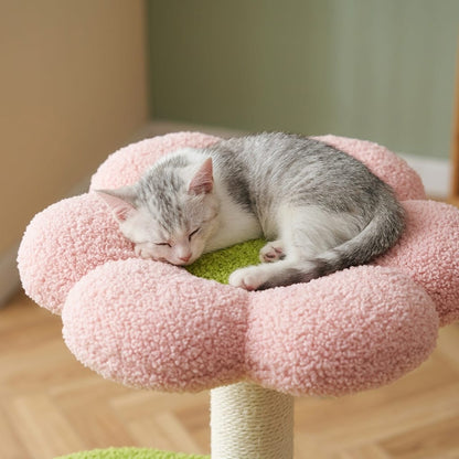 Arbre a chat a fleur