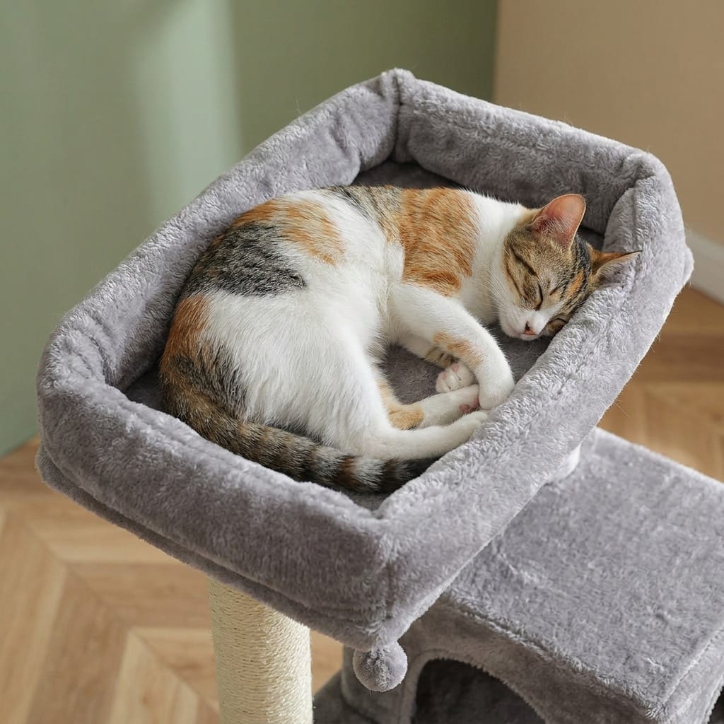Arbre a chat angle xxl