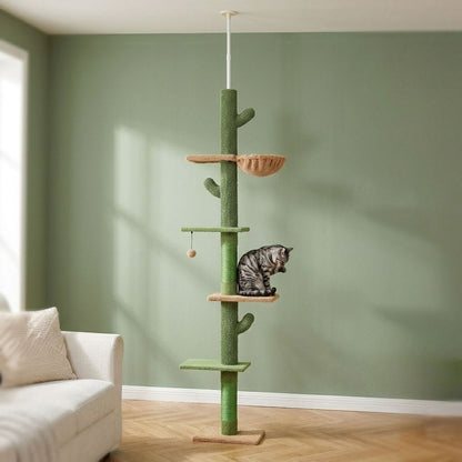 Arbre a chat au plafond