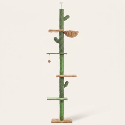 Arbre a chat au plafond