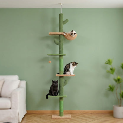 Arbre a chat au plafond