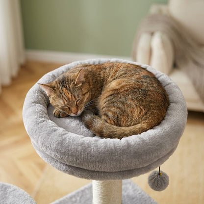 Arbre a chat beau design