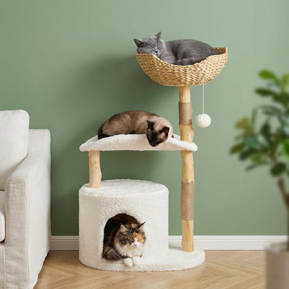 Arbre a chat bois avec branche