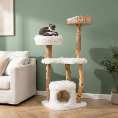 Arbre a chat branche bois