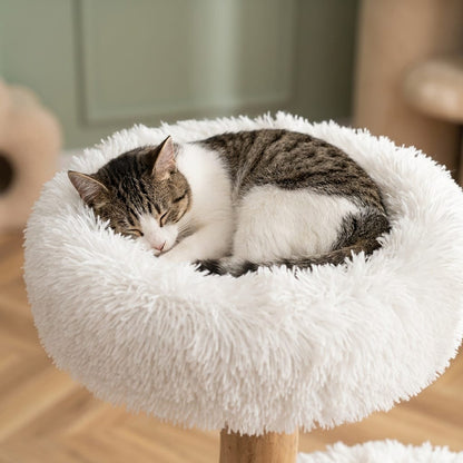 Arbre a chat branche bois