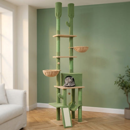 Arbre a chat cactus plafond