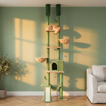 Arbre a chat cactus plafond