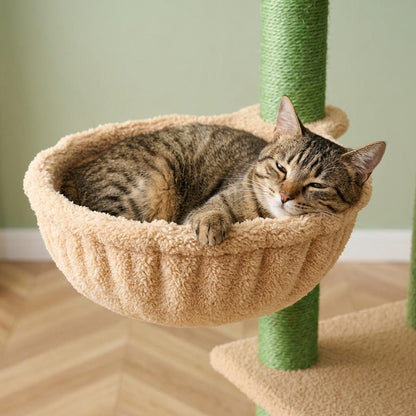 Arbre a chat cactus plafond