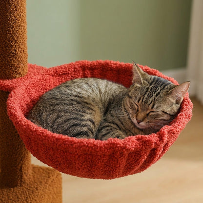 Arbre a chat champignon