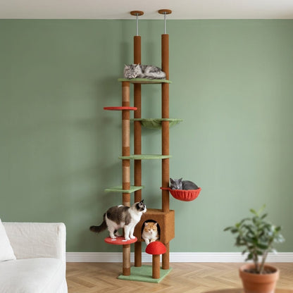 Arbre a chat champignon