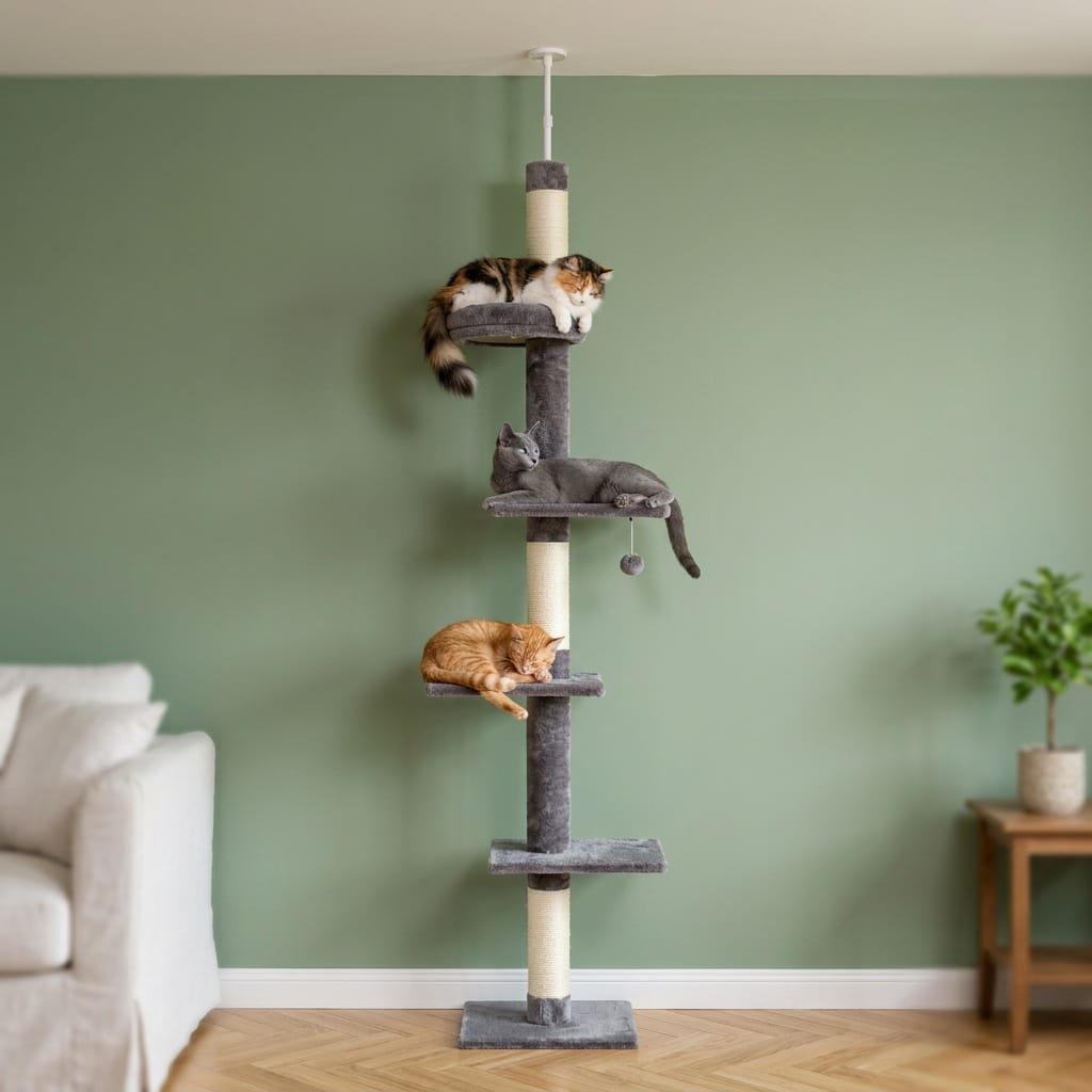 Arbre a chat colonne plafond