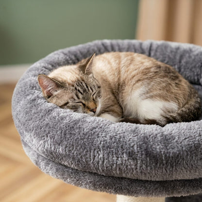 Arbre a chat colonne plafond