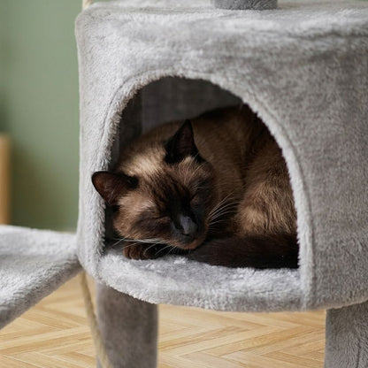 Arbre a chat design pas cher