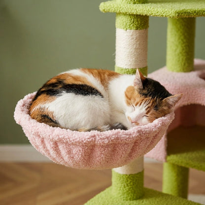 Arbre a chat en fleur