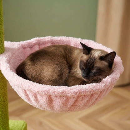 Arbre a chat fleuri