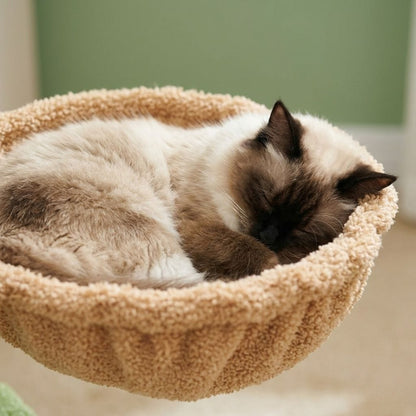Arbre a chat forme cactus
