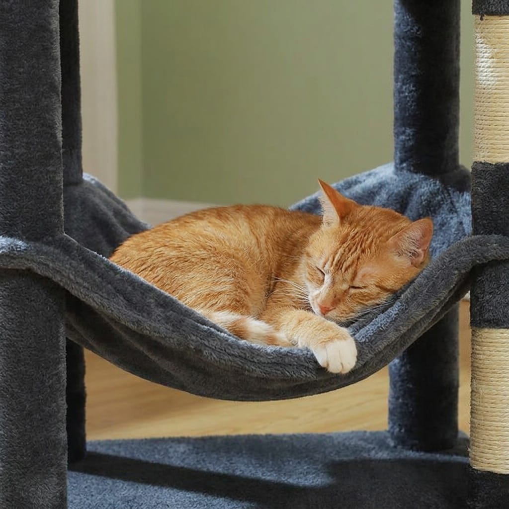 Arbre a chat griffoir design