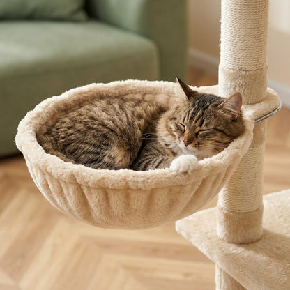 Arbre a chat maine coon appartement