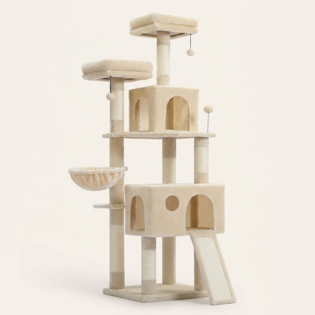 Arbre a chat maine coon appartement