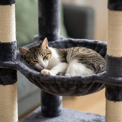 Arbre a chat maine coon gris
