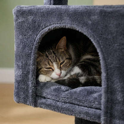 Arbre a chat maison petit espace