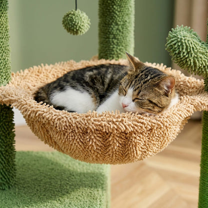 Arbre a chat petit chat