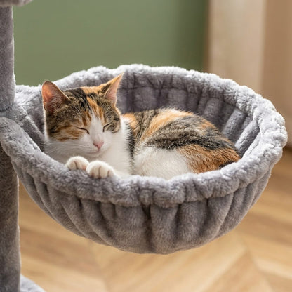 Arbre a chat petit model studio