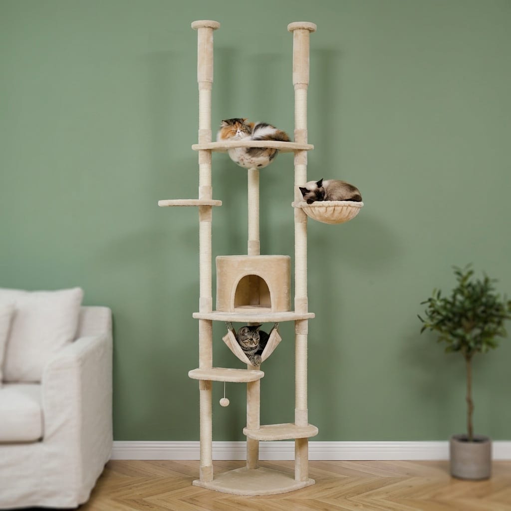 Arbre a chat plafond beige